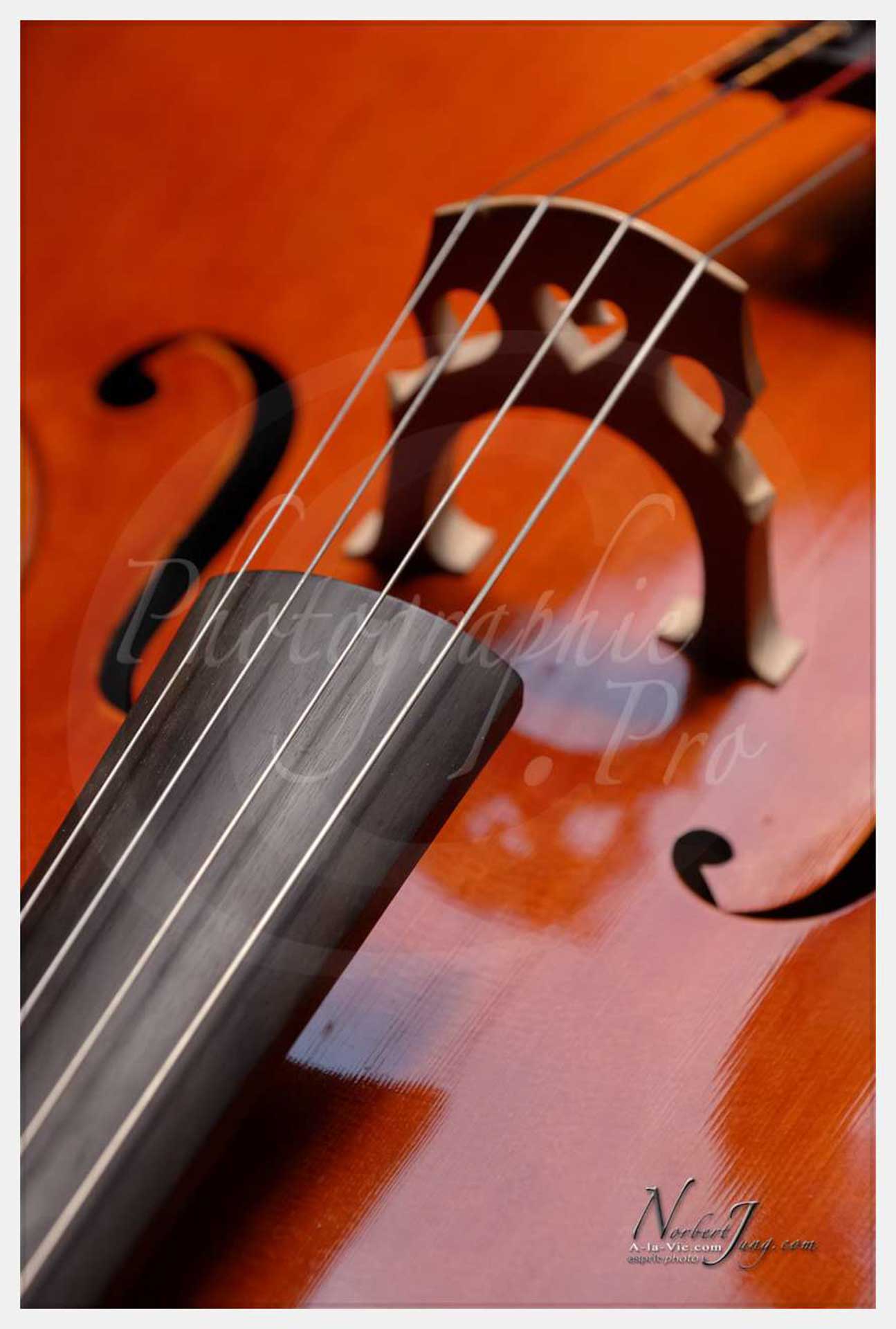 Violoncelle — © by PhotoGraphie.Pro