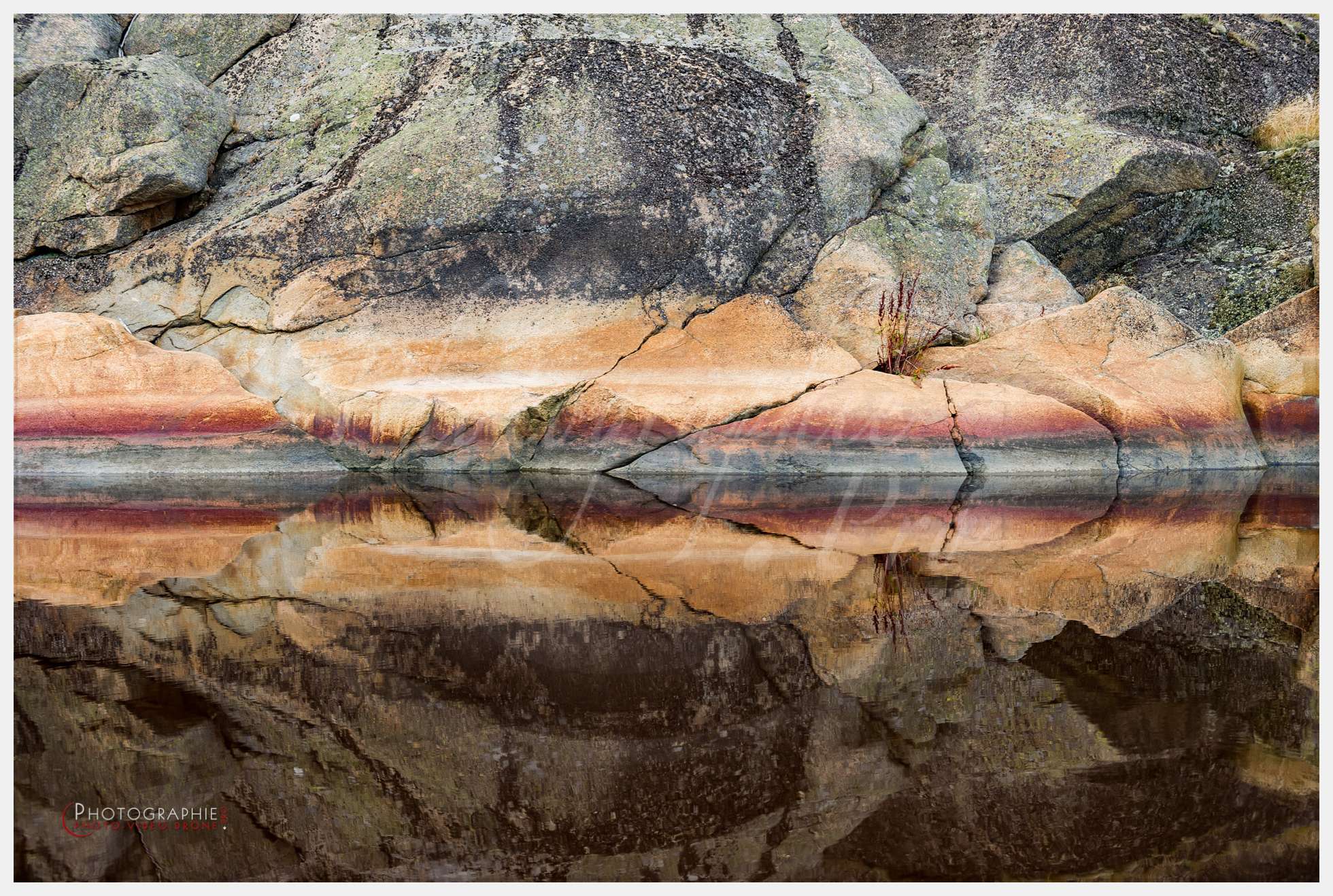 Photos arbres © by A-la-Vie.com