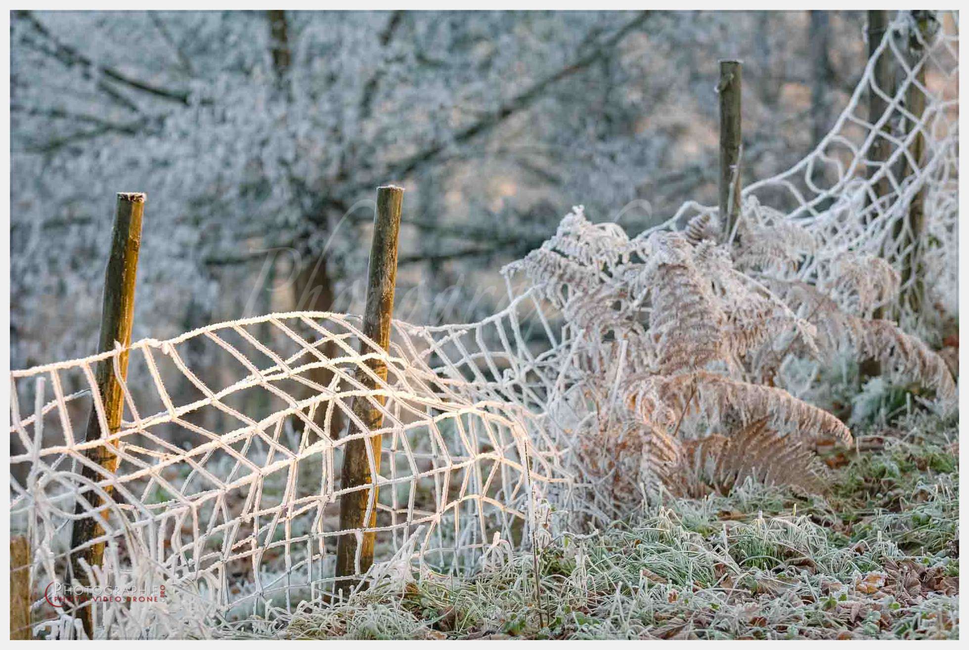 Photos vignes © by A-la-Vie.com