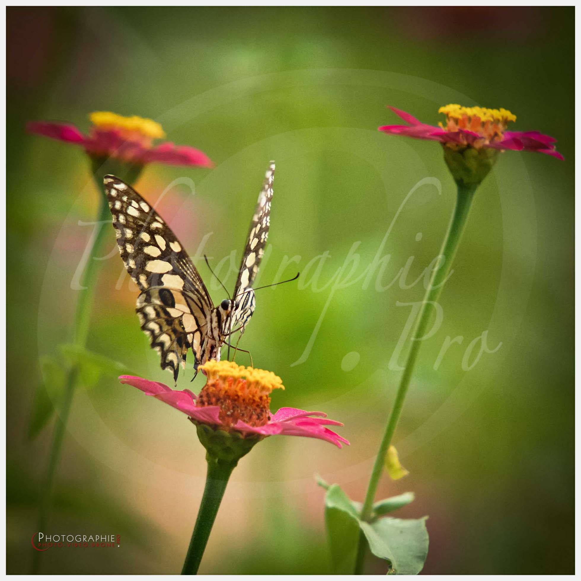 Enfants du Mékong © by A-la-Vie.com