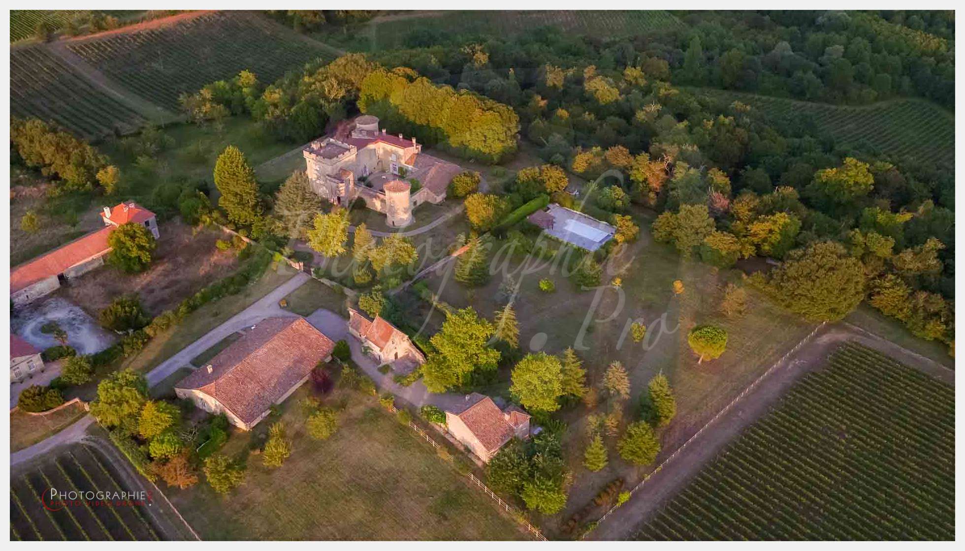 Vignoble © by A-la-Vie.com