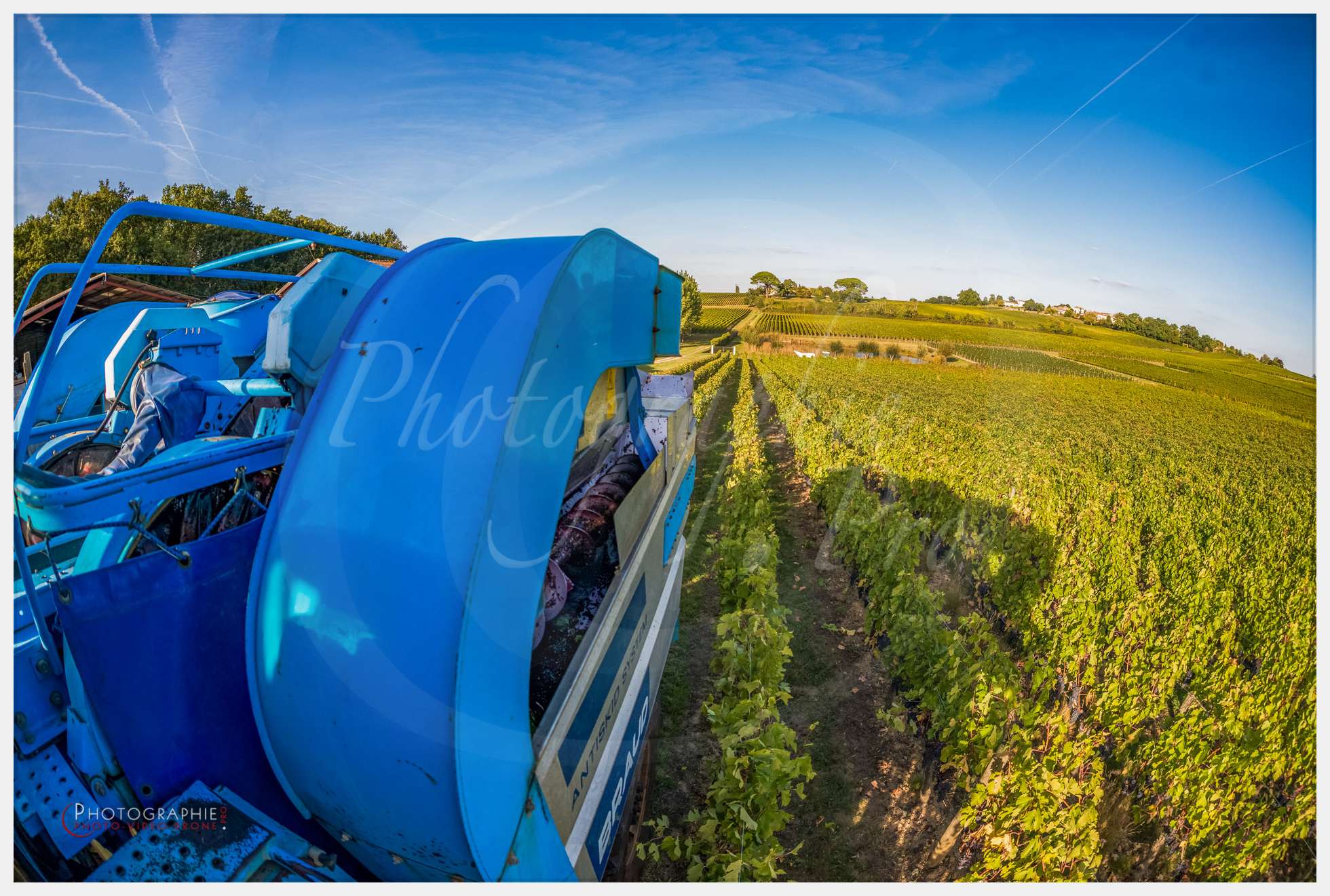 Vendange © by A-la-Vie.com