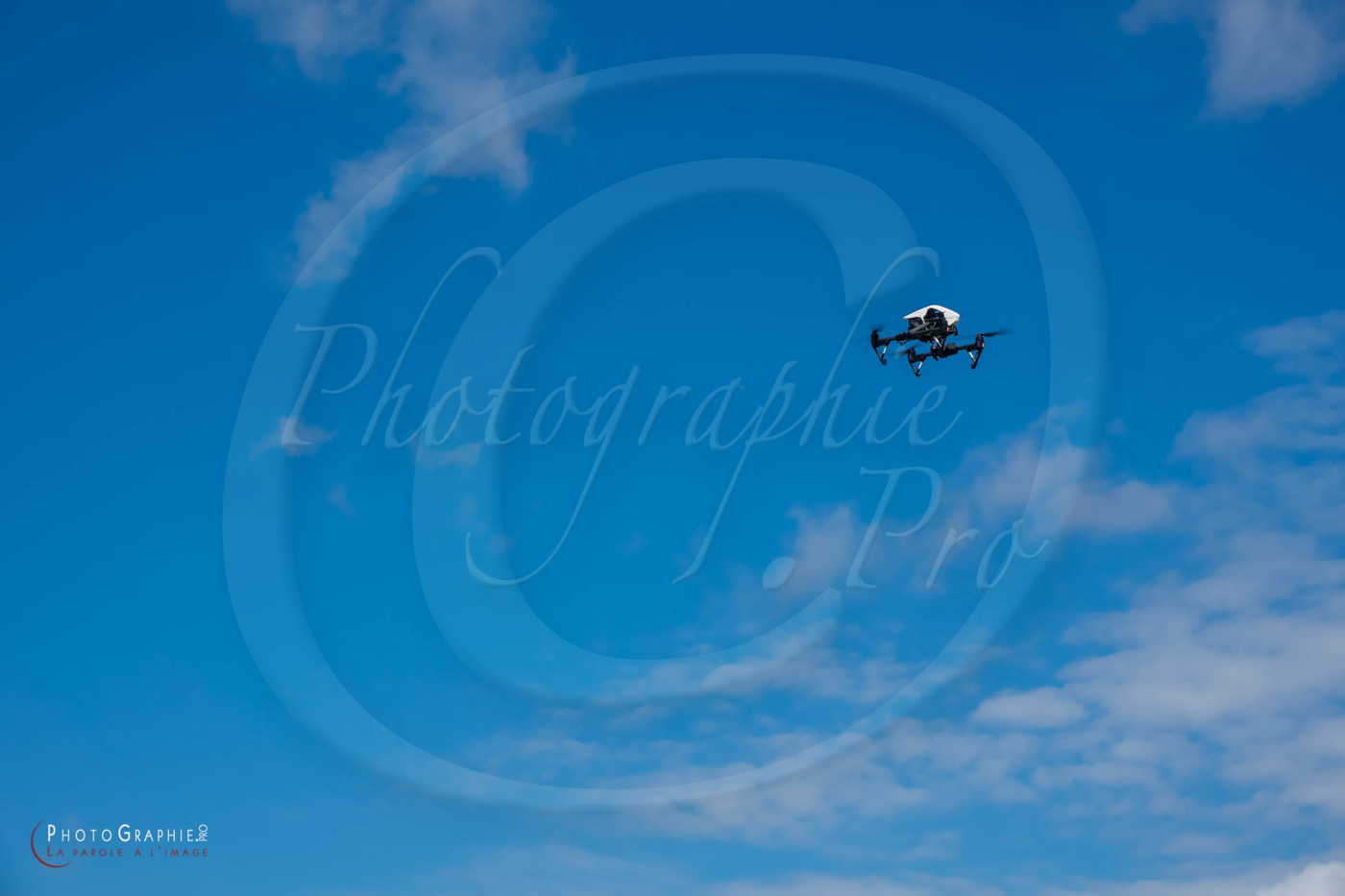 180716-103013_S1089674 © by A-la-Vie.com