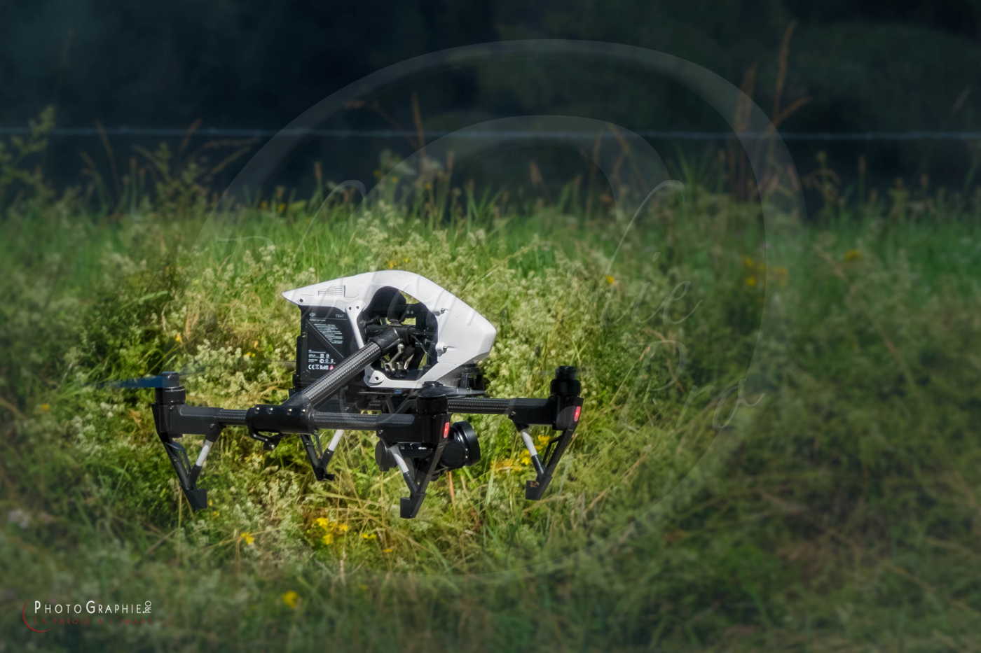 180716-103019_S1089675 © by A-la-Vie.com