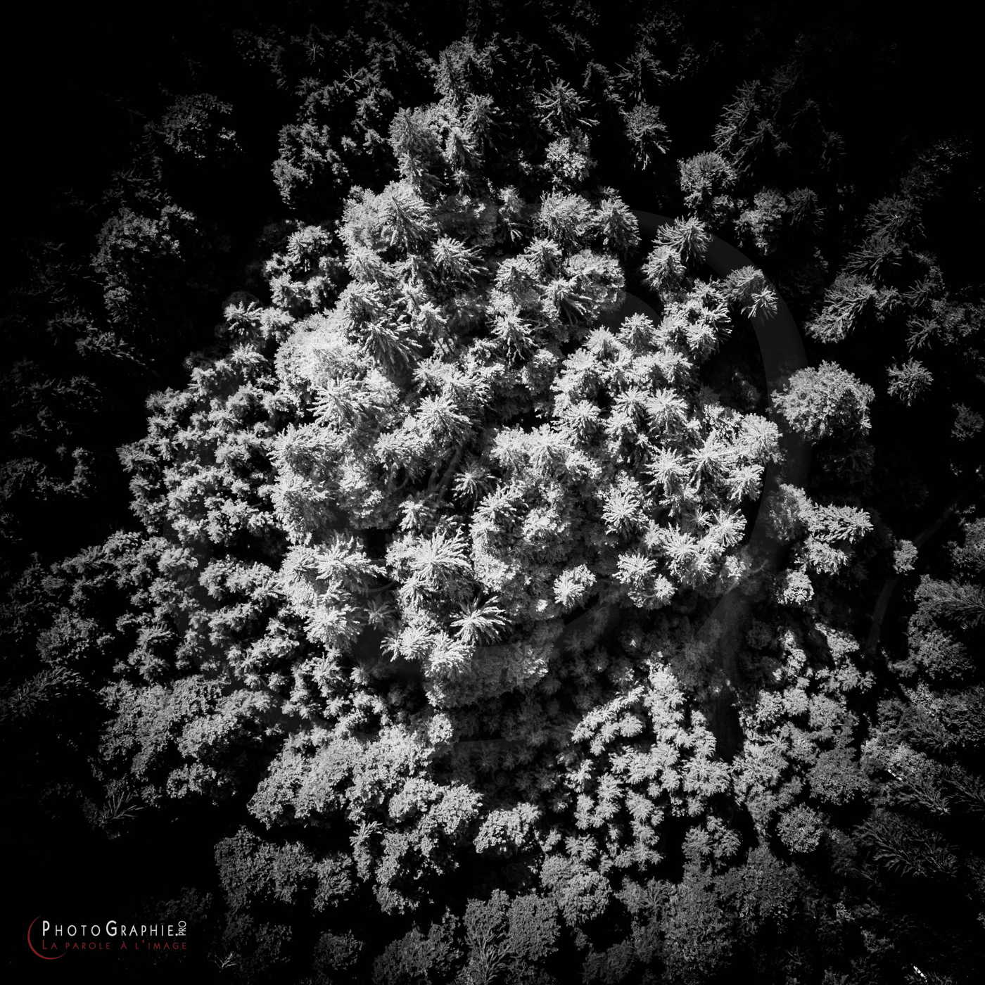 180716-103655_DJI0223 © by A-la-Vie.com