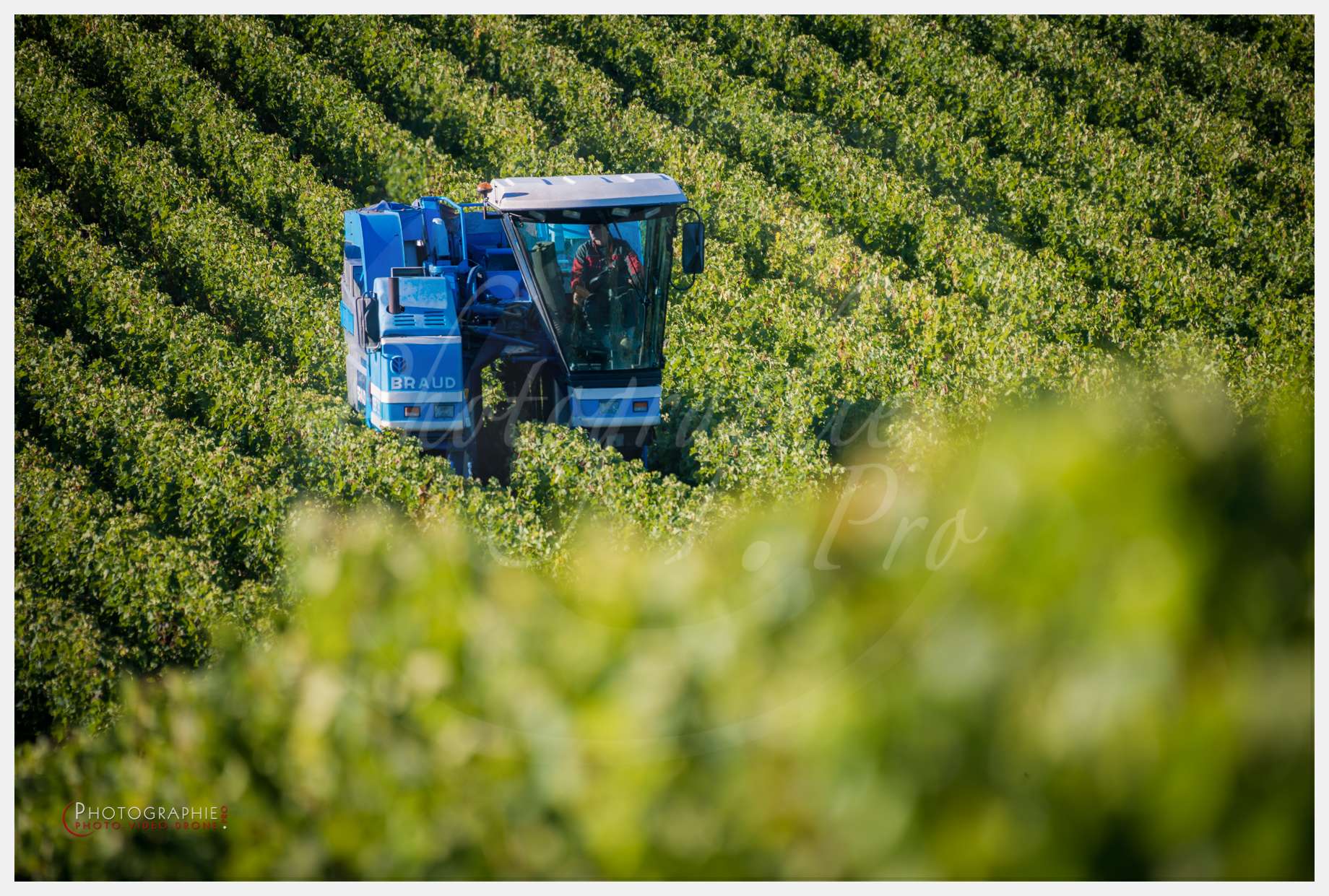 Chateau Grand Corbin-10 © by A-la-Vie.com