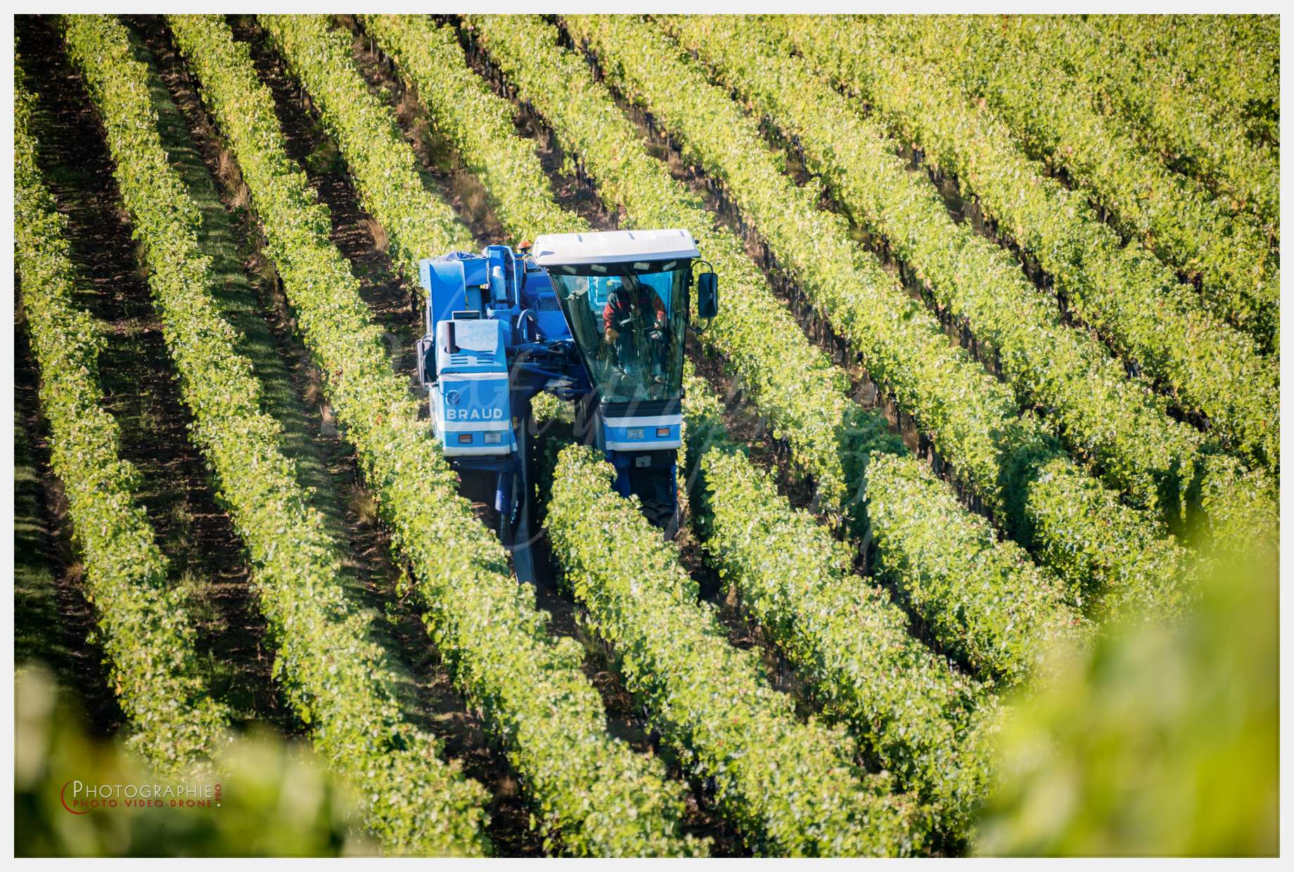 Chateau Grand Corbin-9 © by A-la-Vie.com