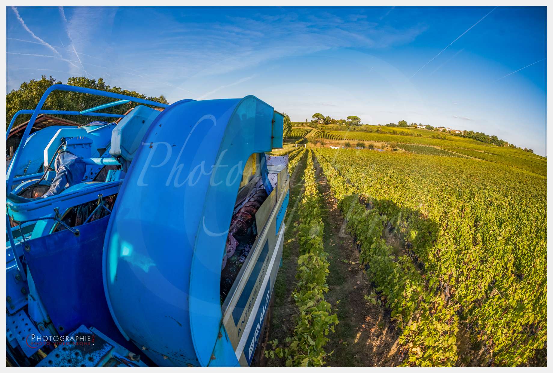 Chateau Grand Corbin-3 © by A-la-Vie.com