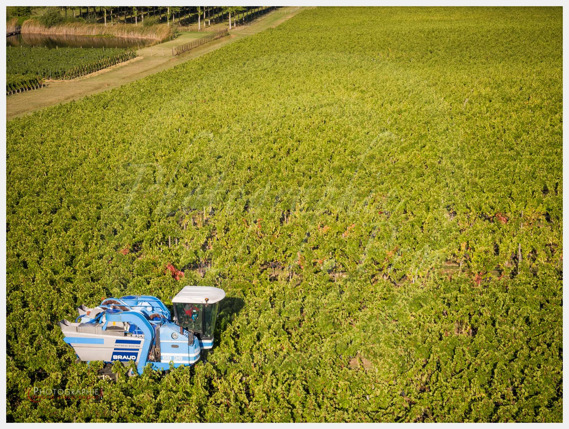 Chateau Grand Corbin-17 © by A-la-Vie.com