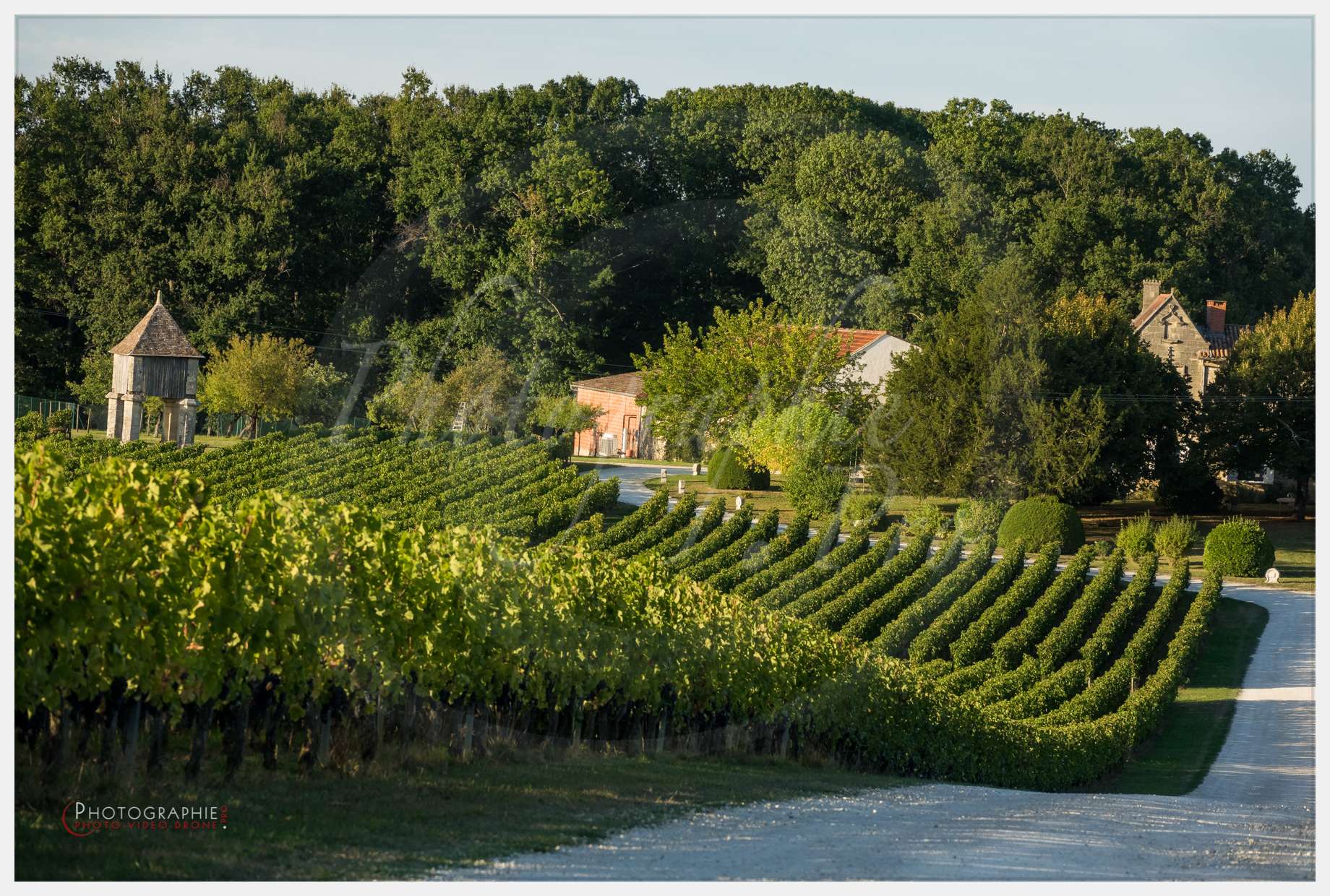 Chateau Grand Corbin-22 © by A-la-Vie.com