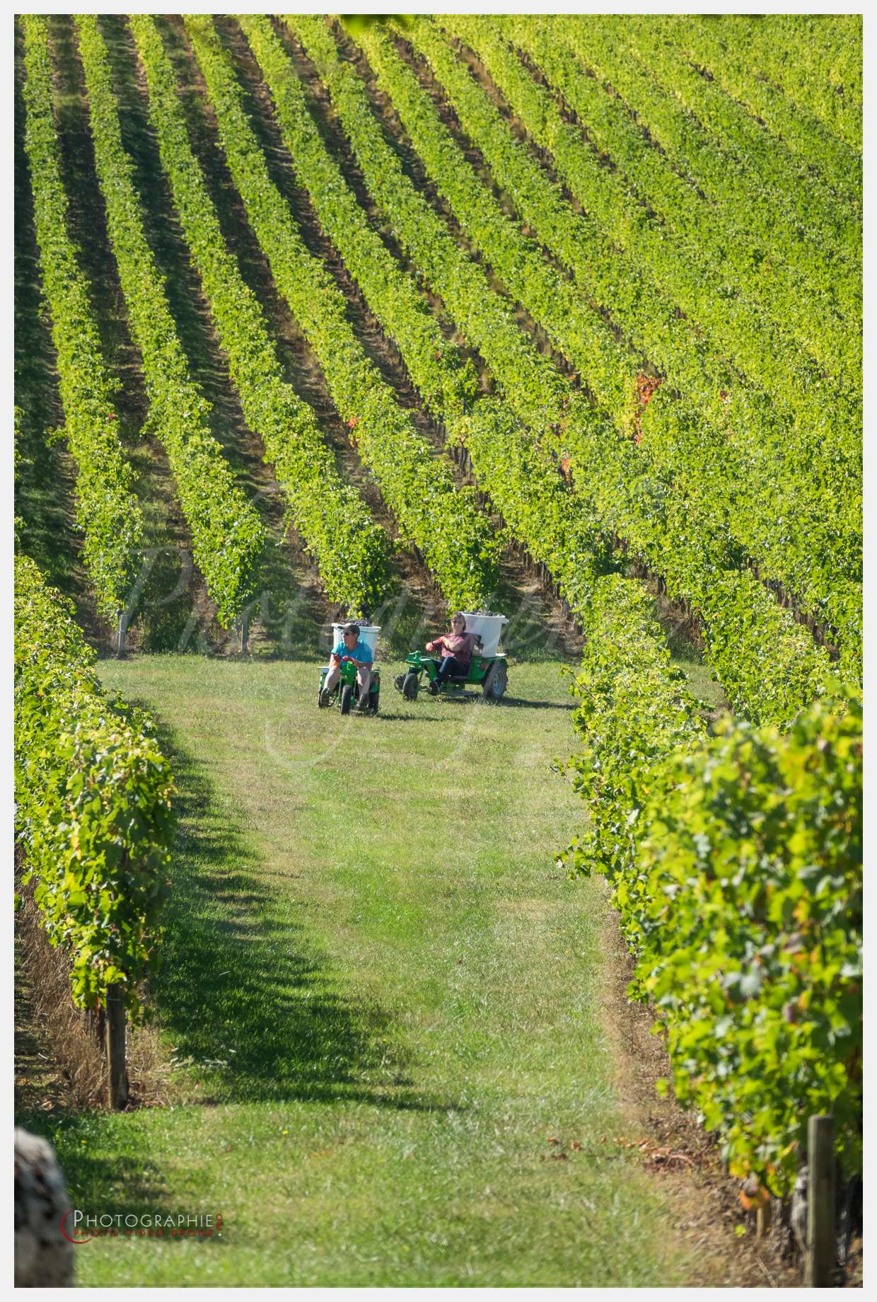 Chateau Grand Corbin-15 © by A-la-Vie.com