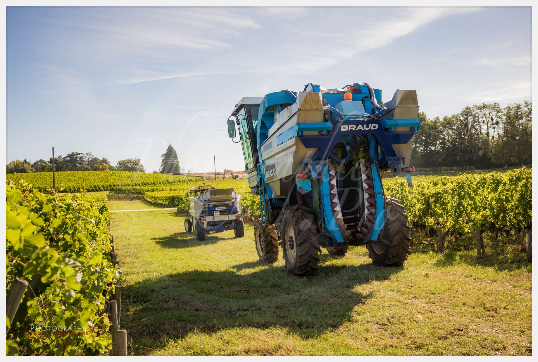 Chateau Grand Corbin-8 © by A-la-Vie.com