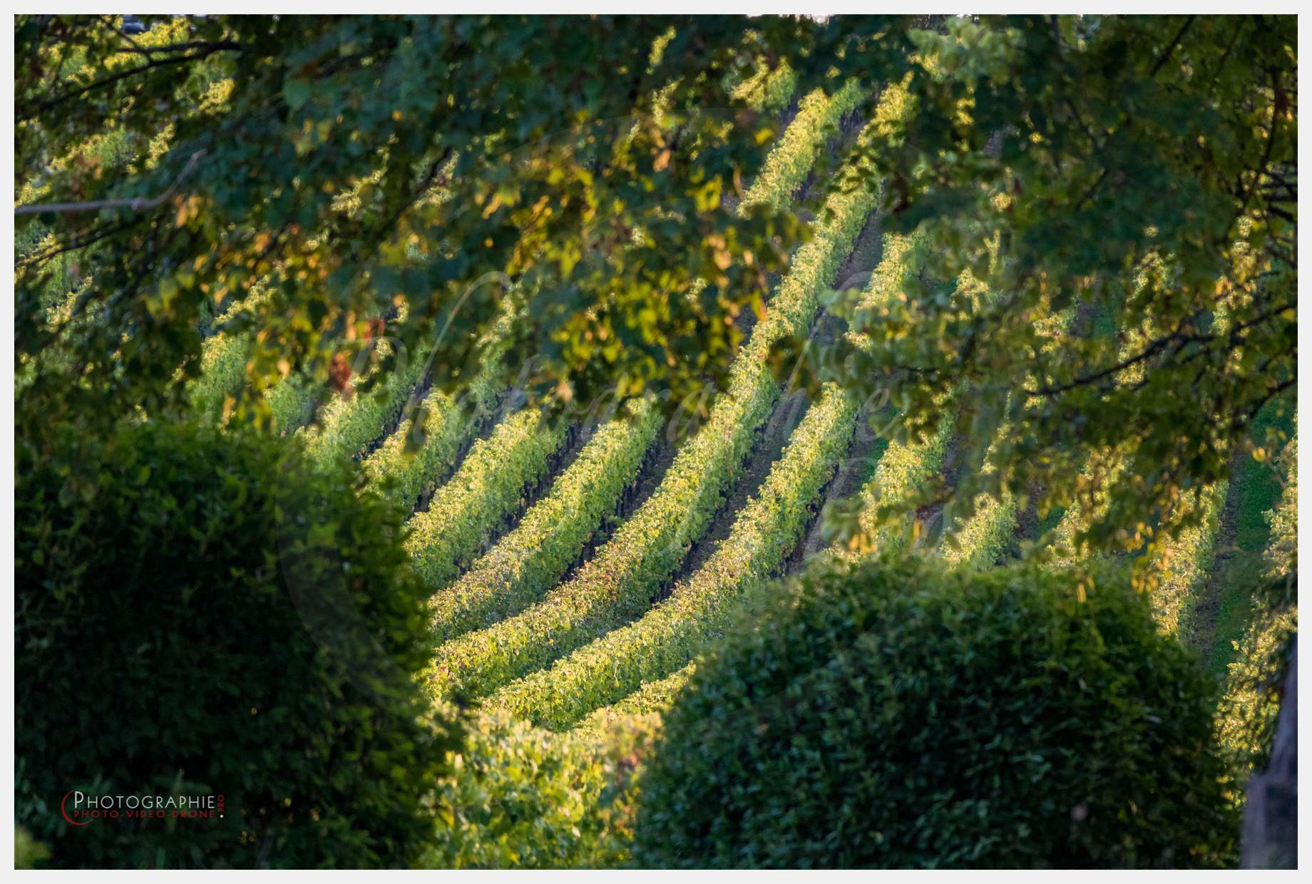 Chateau Grand Corbin-1 © by A-la-Vie.com