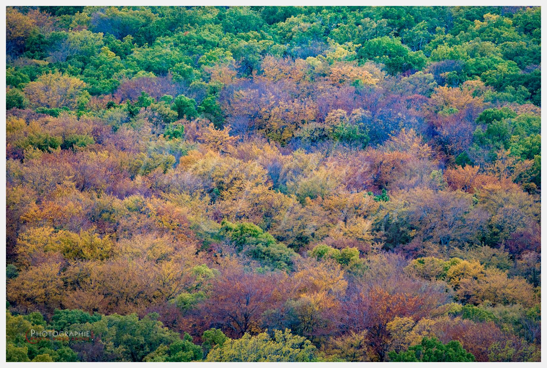 Sainte Baume-7 © by A-la-Vie.com