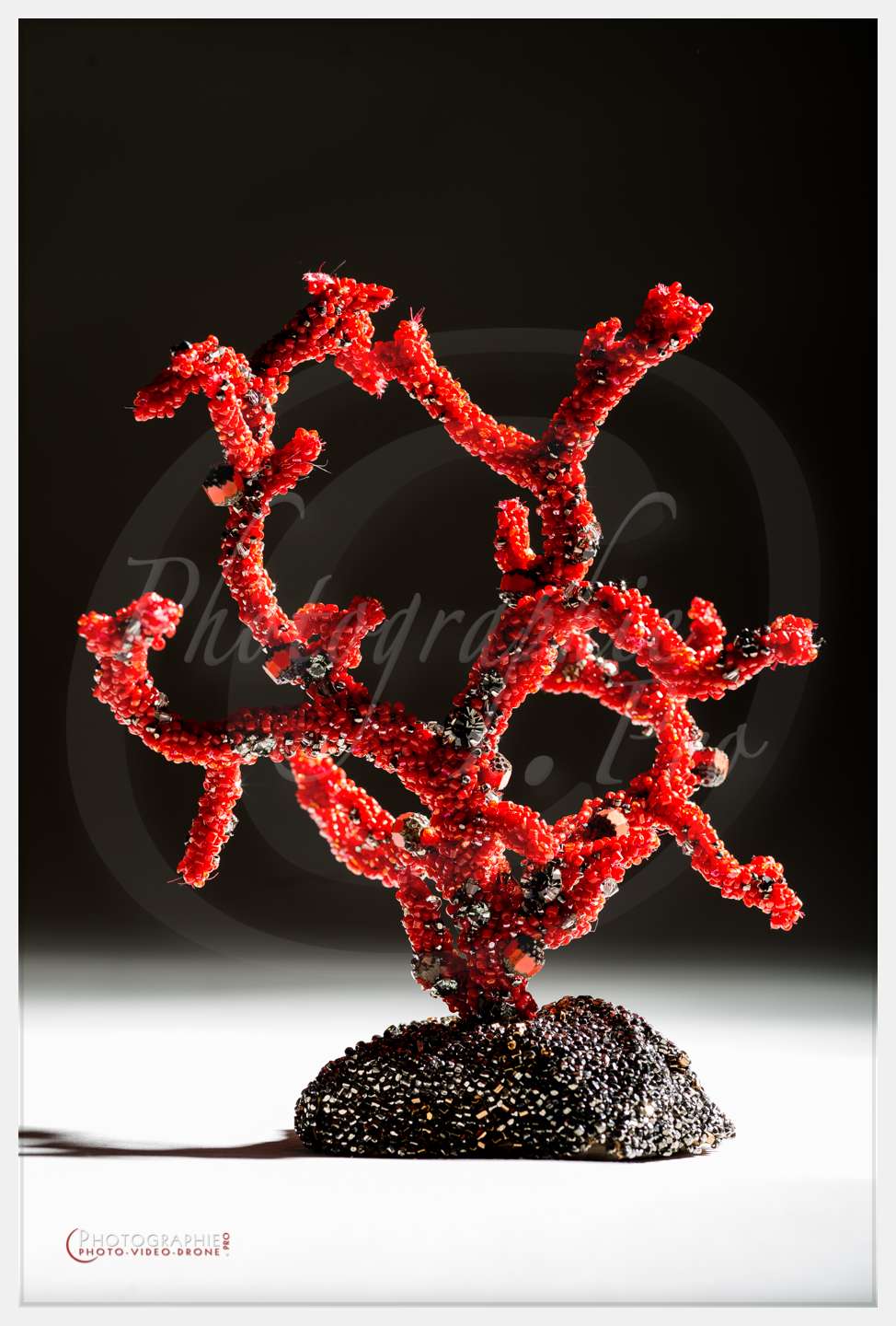 D8e017278 © by A-la-Vie.com