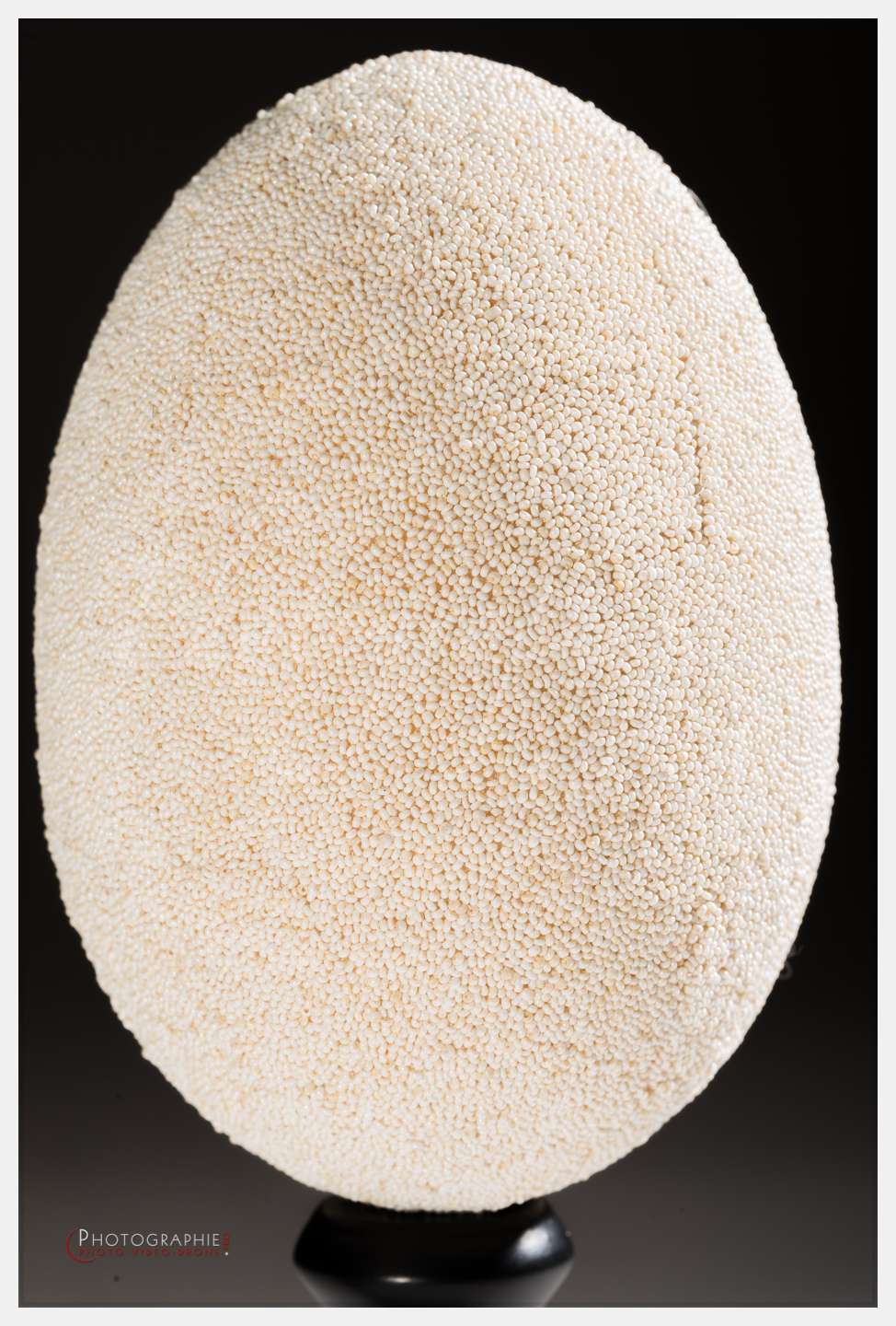 D8e017286 © by A-la-Vie.com