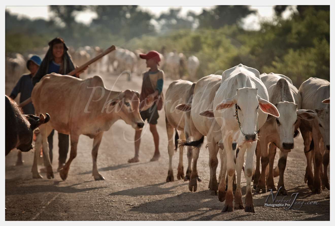 Enfants du MÈkong © by A-la-Vie.com