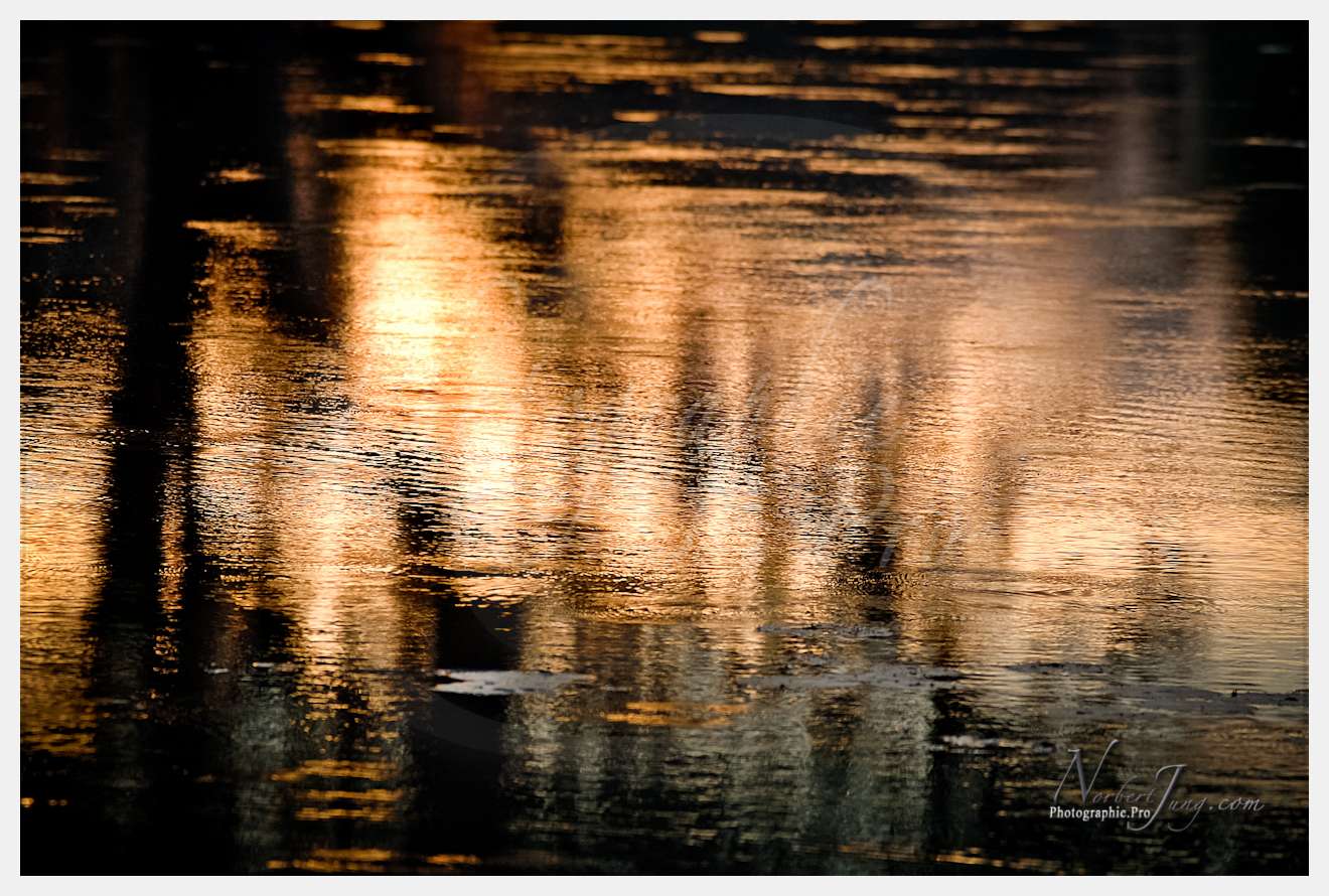 Enfants du MÈkong © by A-la-Vie.com