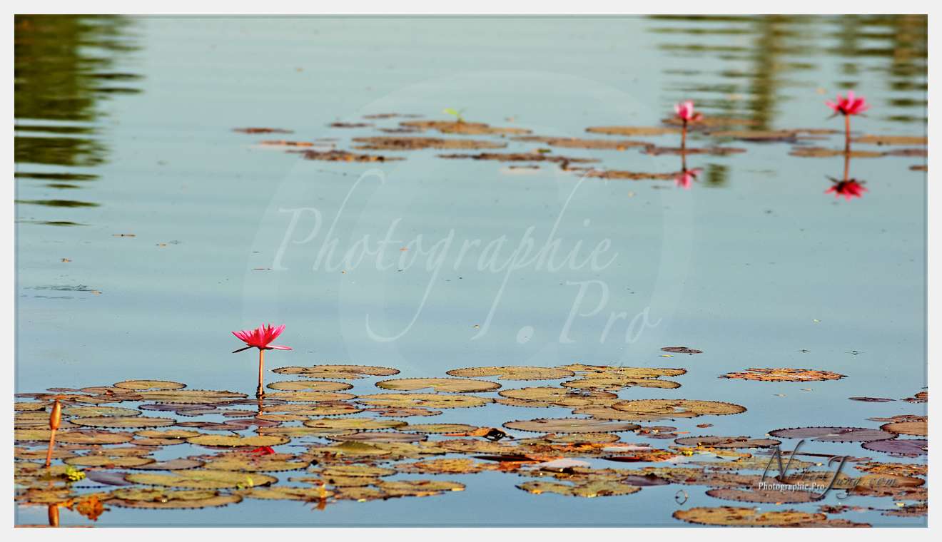 Enfants du MÈkong © by A-la-Vie.com