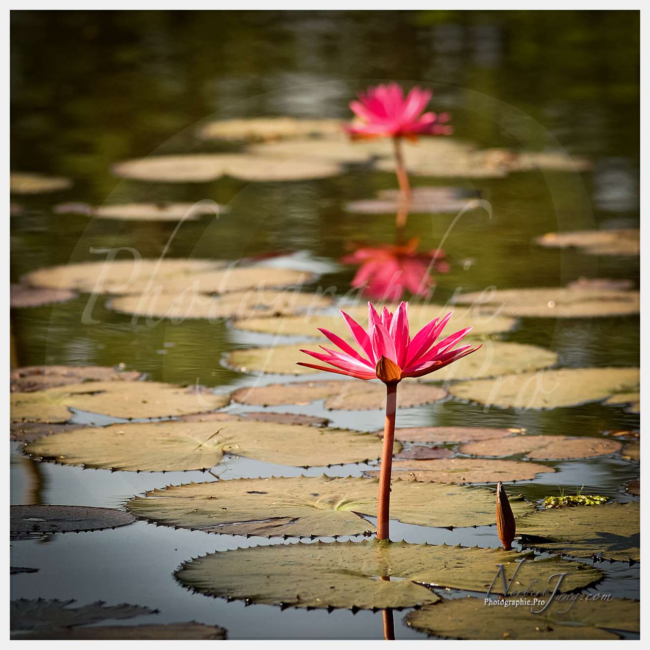 Enfants du MÈkong © by A-la-Vie.com