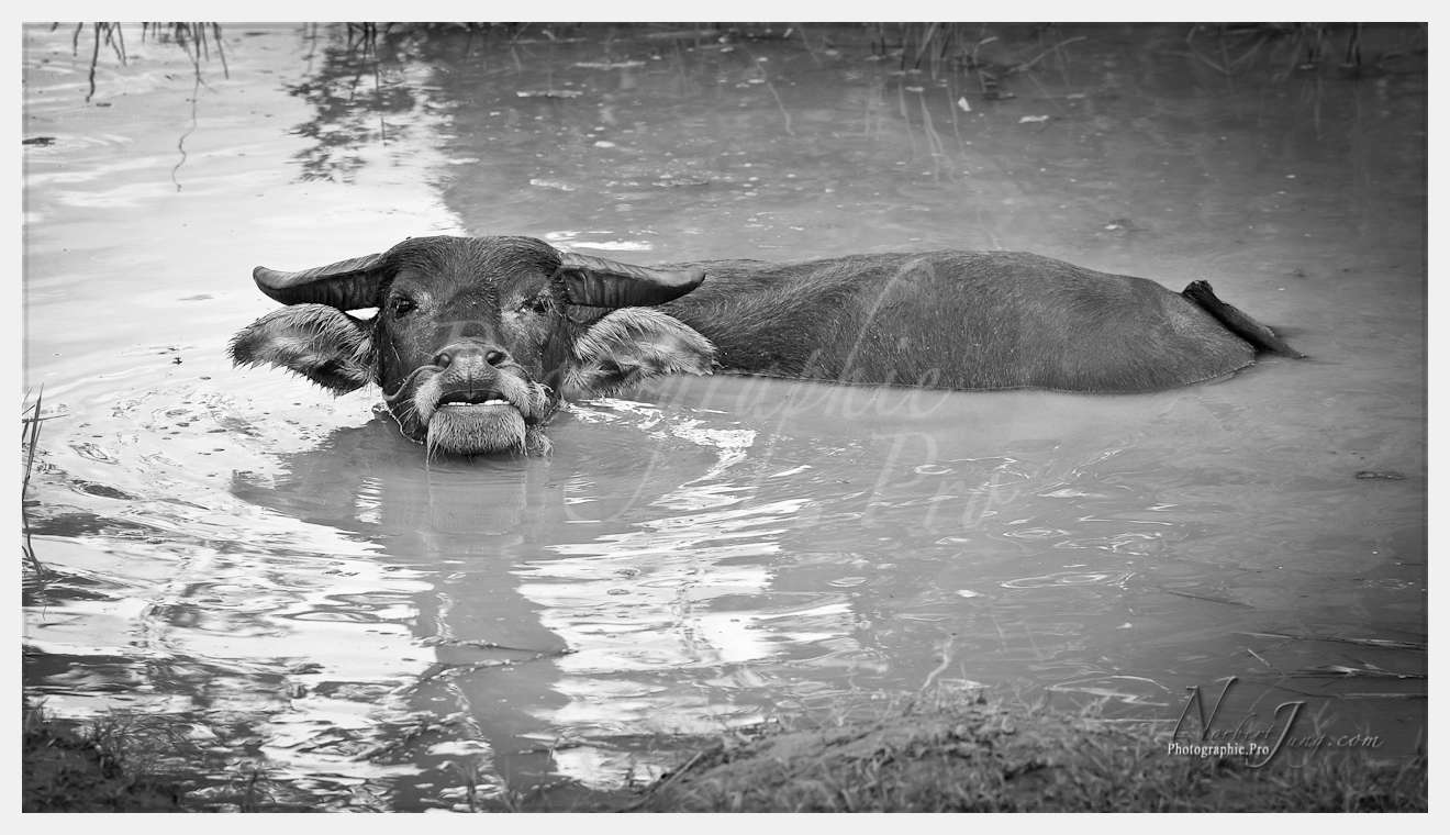 Enfants du MÈkong © by A-la-Vie.com