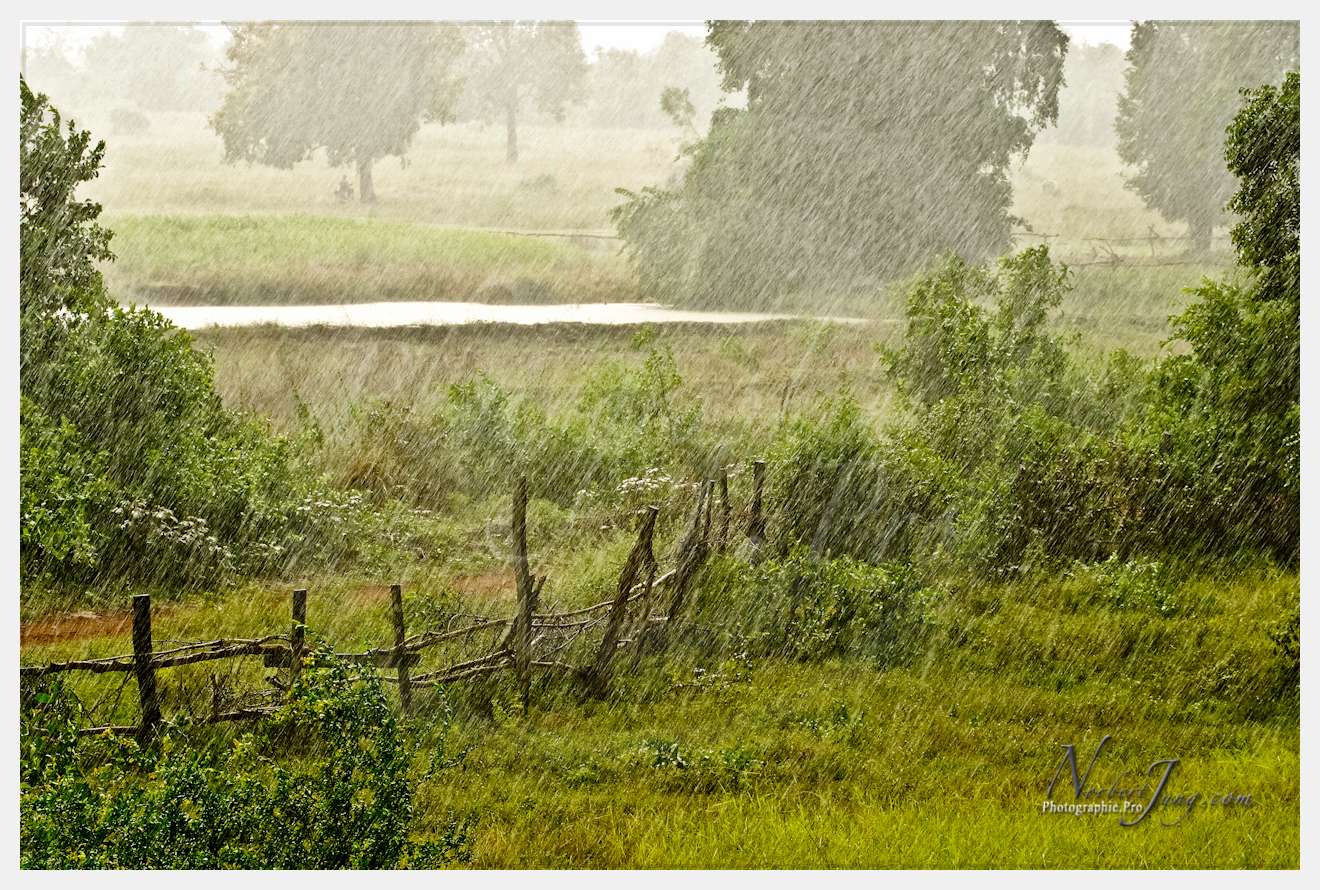 Enfants du MÈkong © by A-la-Vie.com