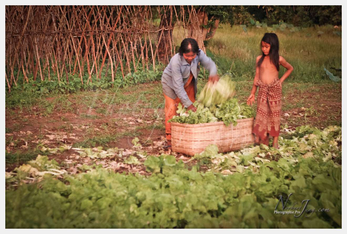 Enfants du MÈkong © by A-la-Vie.com