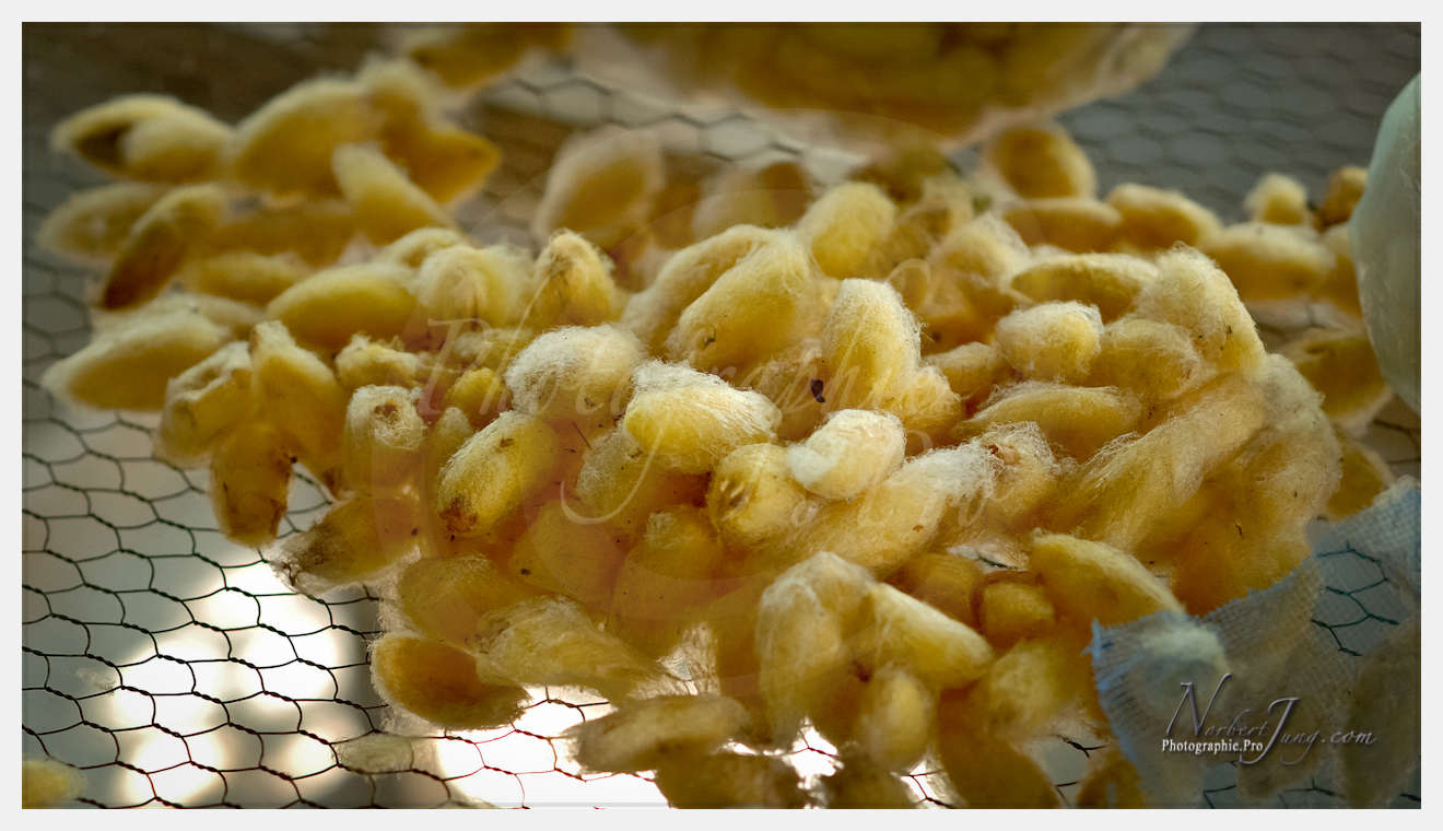 Enfants du MÈkong © by A-la-Vie.com