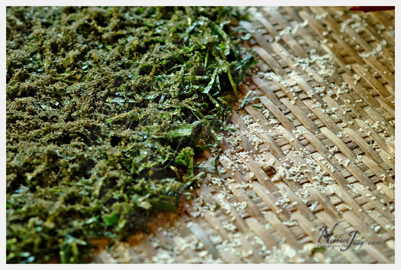 Enfants du Mékong © by A-la-Vie.com