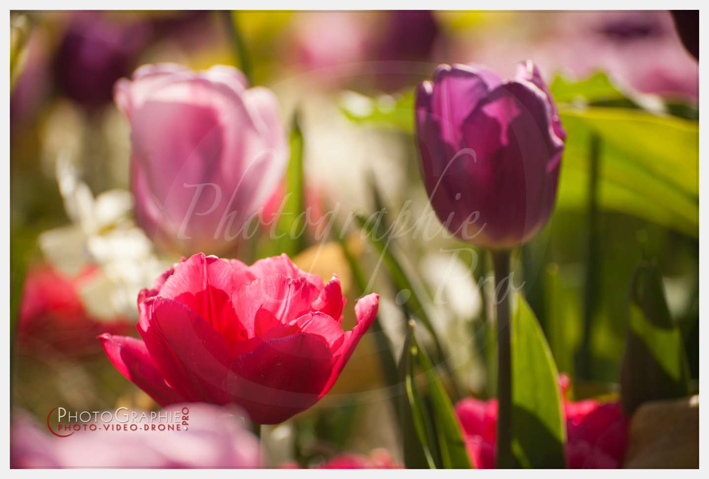 © by A-la-Vie.com