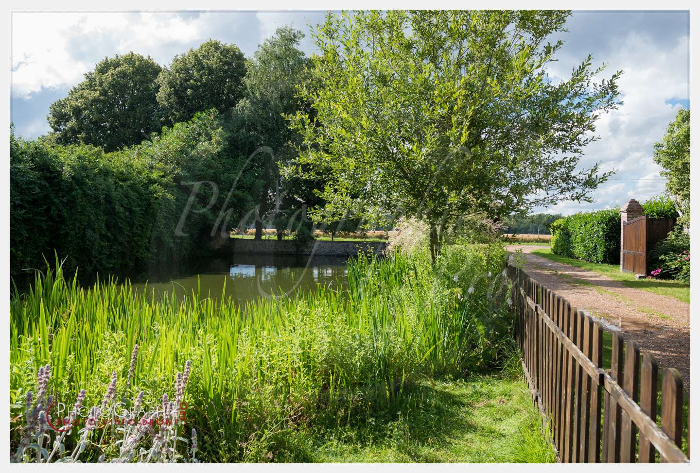 D8e000653 - © by A-la-Vie.com