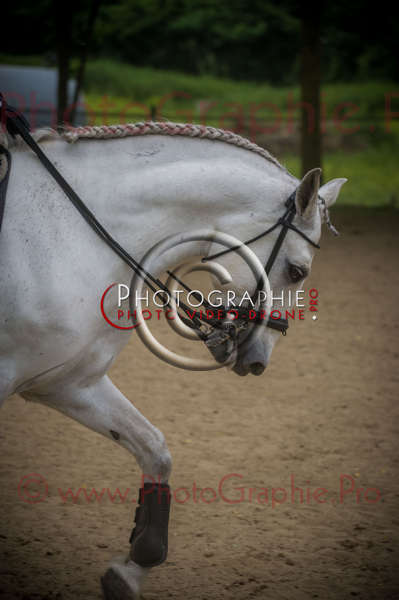 D3s141746 © by A-la-Vie.com