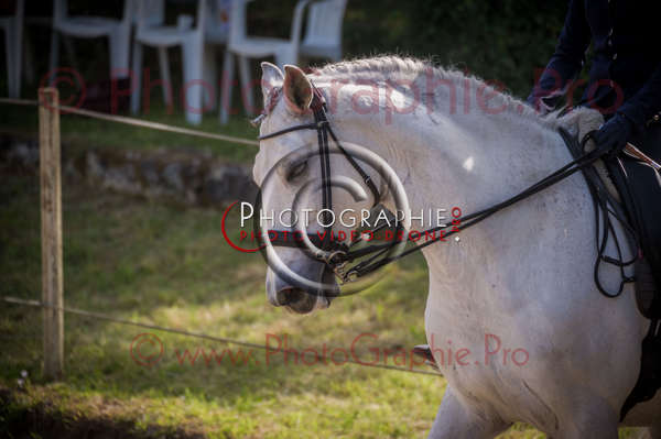 D3s142065 © by A-la-Vie.com