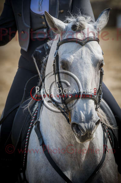 D3s142181 © by A-la-Vie.com