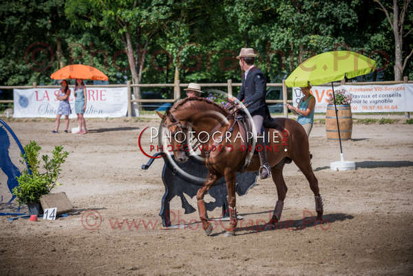 D6016809 © by A-la-Vie.com