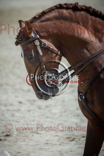 D3s142257 © by A-la-Vie.com