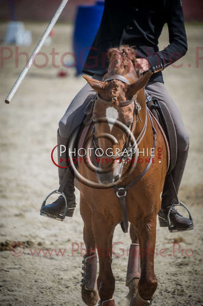 D3s142312 © by A-la-Vie.com