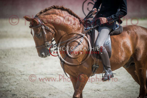 D3s142334 © by A-la-Vie.com