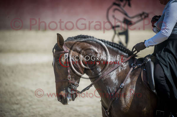 D3s142510 © by A-la-Vie.com