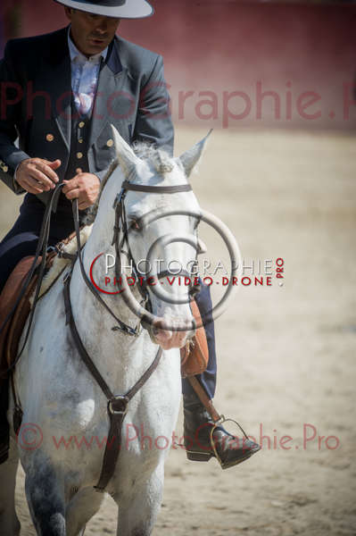 D3s142528 © by A-la-Vie.com