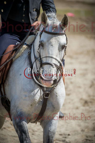 D3s142684 © by A-la-Vie.com