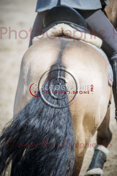 D3s142826 © by A-la-Vie.com