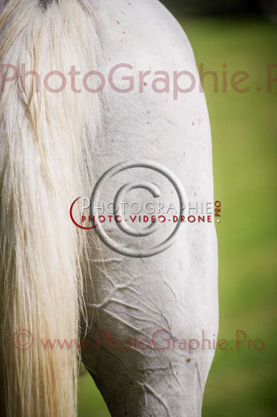 D3s142867 © by A-la-Vie.com