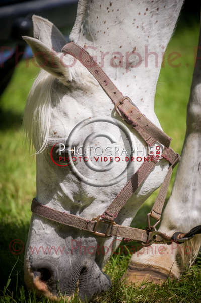 D3s142874 © by A-la-Vie.com