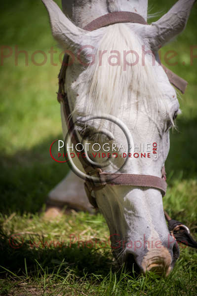 D3s142875 © by A-la-Vie.com