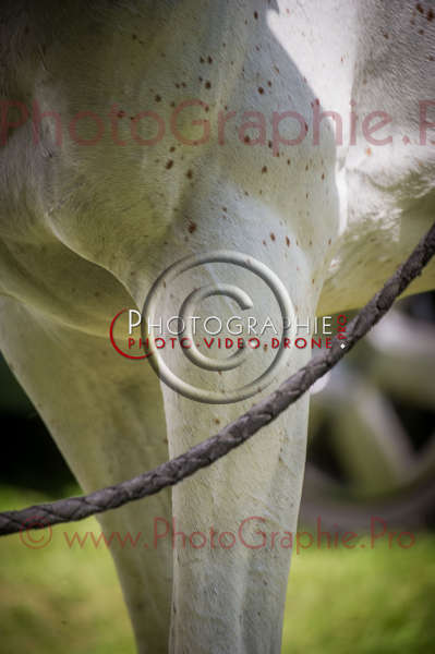 D3s142879 © by A-la-Vie.com