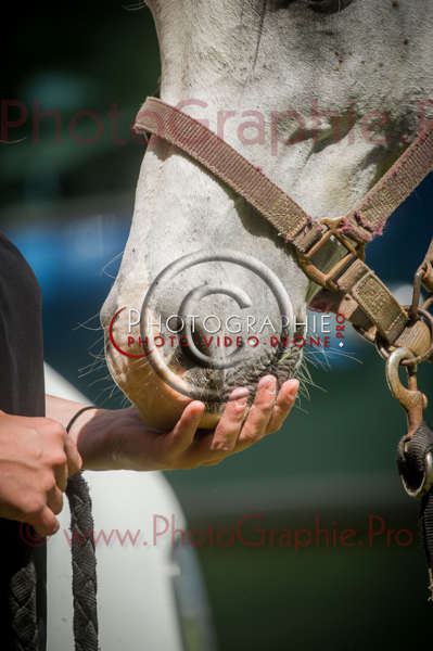 D3s142880 © by A-la-Vie.com