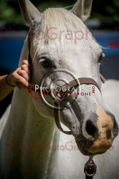 D3s142884 © by A-la-Vie.com