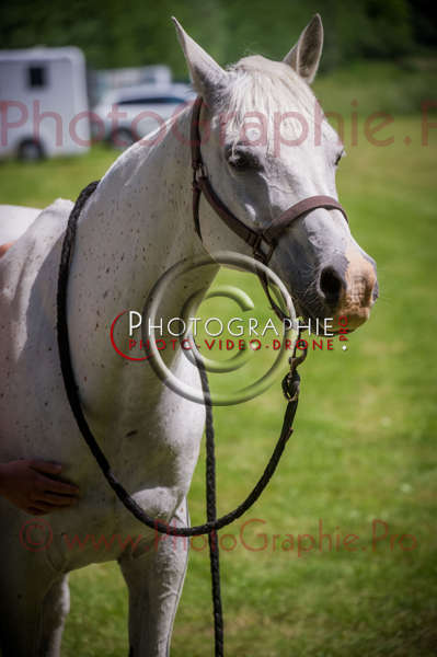 D3s142893 © by A-la-Vie.com