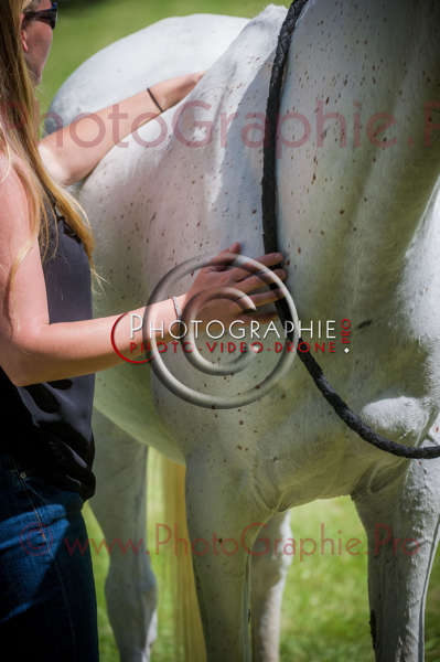 D3s142896 © by A-la-Vie.com